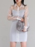 ROYAL PARTY(ロイヤルパーティ) |シアーシャツドッキング配色ニットタイトミニワンピース